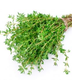 Thyme Lemon